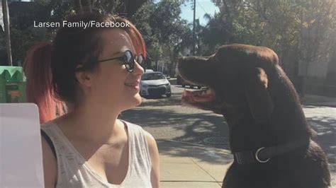 Woman, dog killed in San Jose hit-and-run